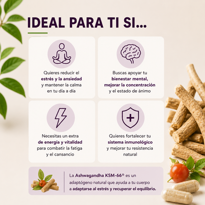 Ashwagandha KSM-66® – Estrés, Sueño y Energía