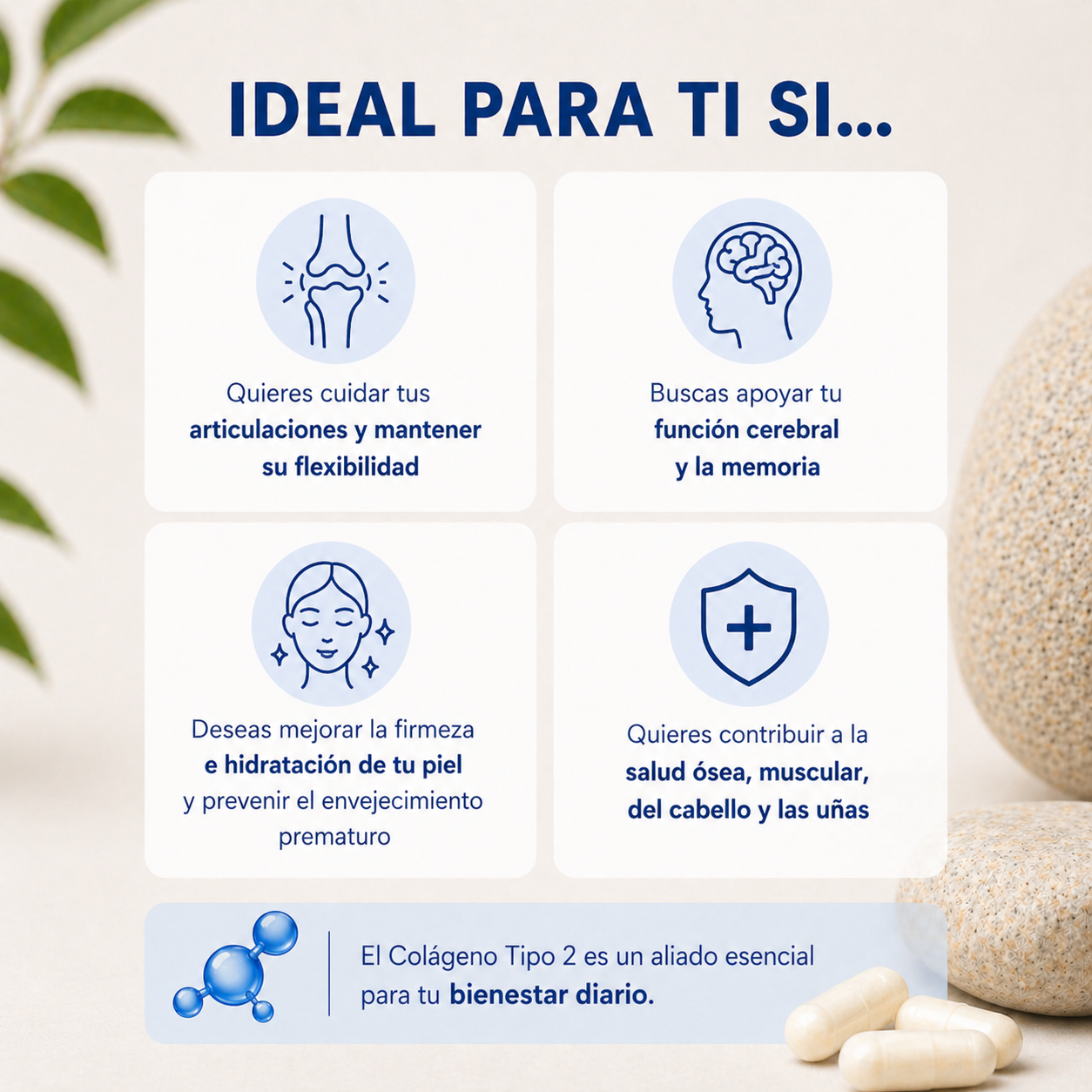 Colágeno UC-II – Articulaciones, Piel y Movilidad
