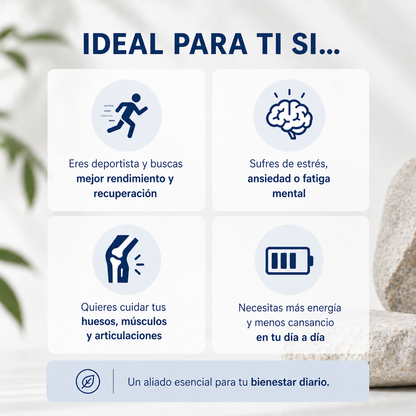 Magnesio de alta absorción