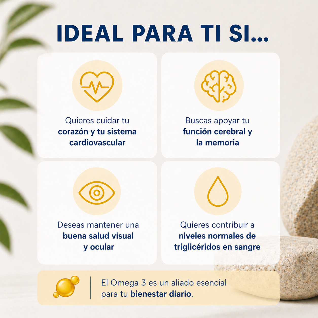 Omega 3 – Salud desde Dentro